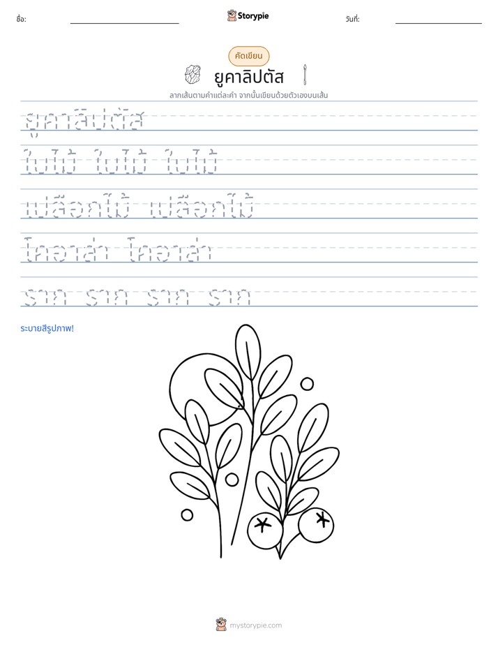 การฝึกเขียน