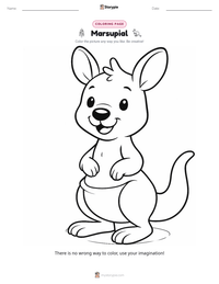 Marsupial printable worksheet preview