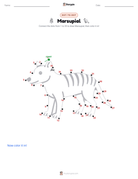 Marsupial printable worksheet preview