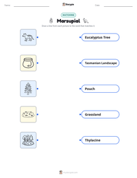 Marsupial printable worksheet preview