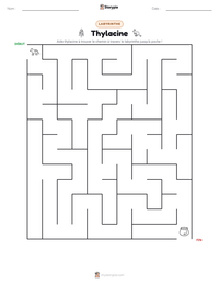 Aperçu de la feuille de travail imprimable Thylacine