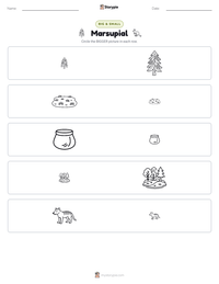 Marsupial printable worksheet preview