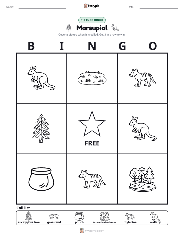 Picture Bingo