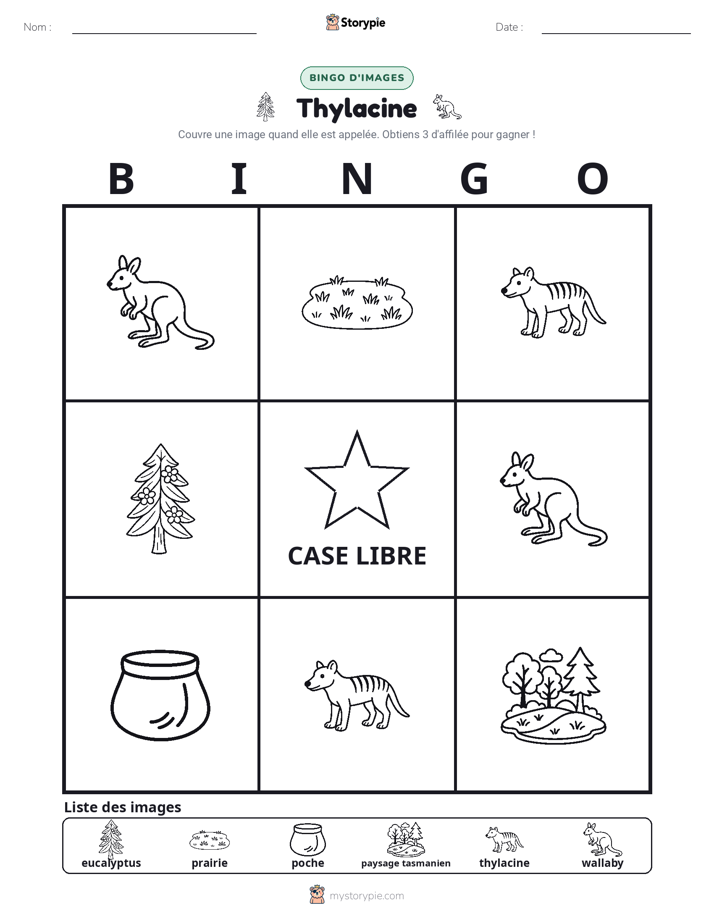 Bingo d'Images