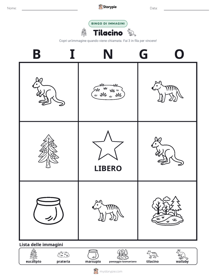 Bingo delle Immagini