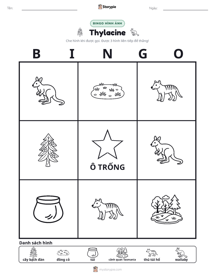 Bingo Hình Ảnh