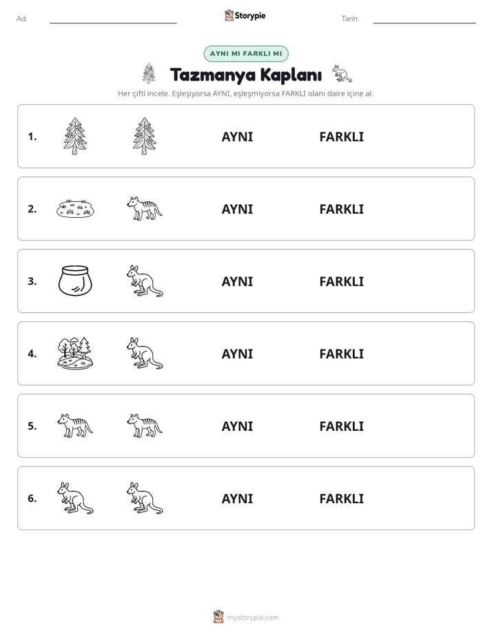 Aynı mı Farklı mı