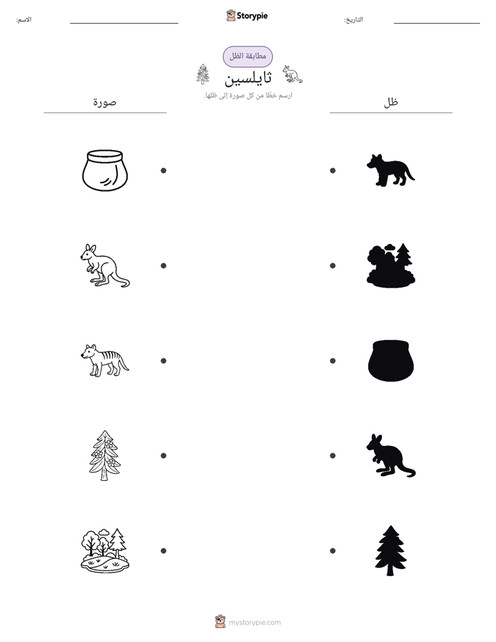 مطابقة الظل