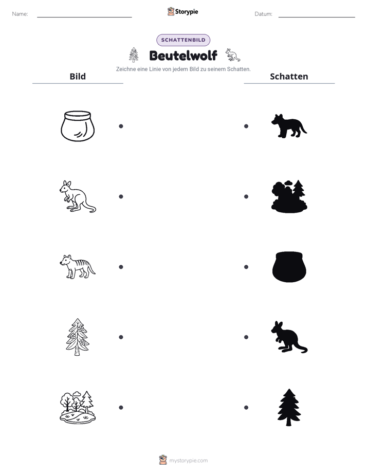Schattenmatch