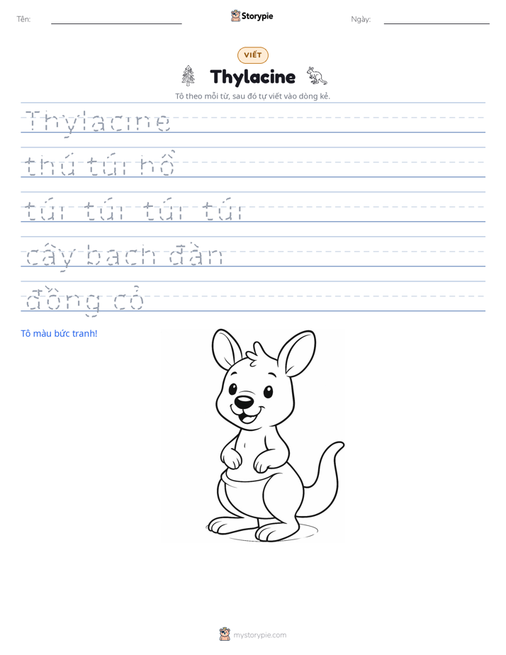 Luyện Viết