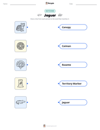 Jaguar printable worksheet for kids