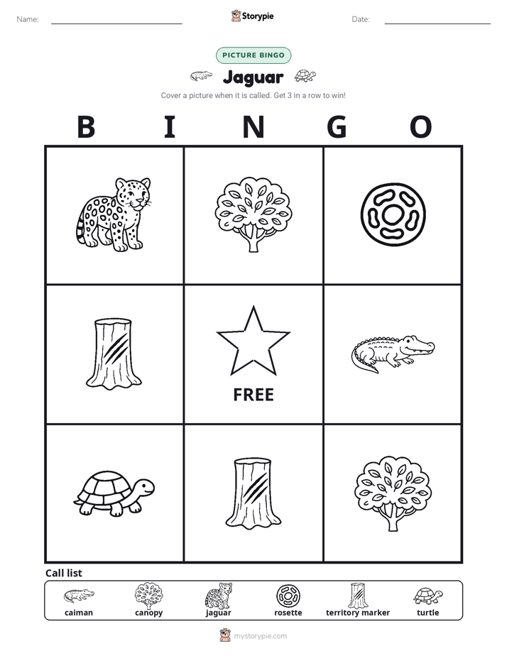 Picture Bingo