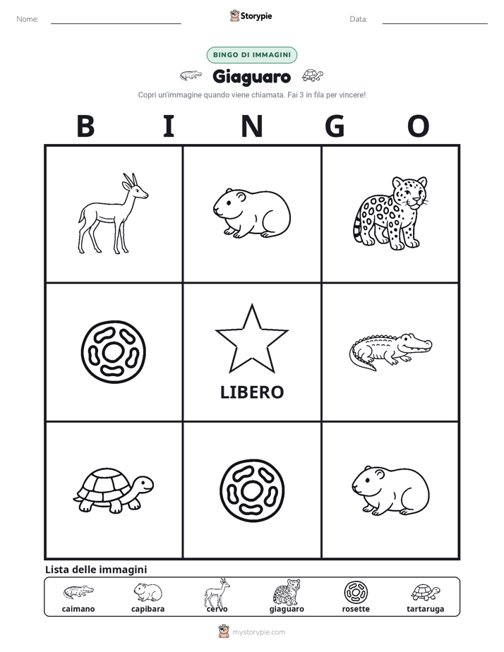 Bingo delle Immagini