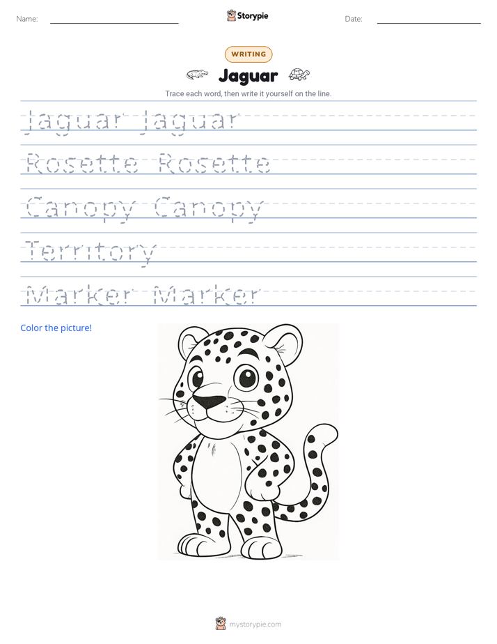Writing Practice