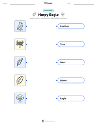Harpy Eagle printable worksheet preview