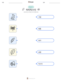 하피독수리 인쇄 가능한 워크시트 미리보기