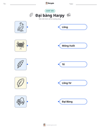 Xem trước tài liệu in sẵn Đại bàng Harpy