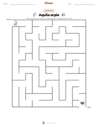 Anteprima della scheda stampabile di Aquila arpia