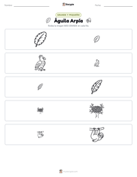 Vista previa de la hoja de trabajo imprimible de Águila Arpía