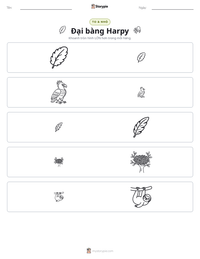 Xem trước tài liệu in sẵn Đại bàng Harpy