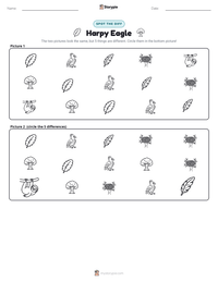 Harpy Eagle printable worksheet preview