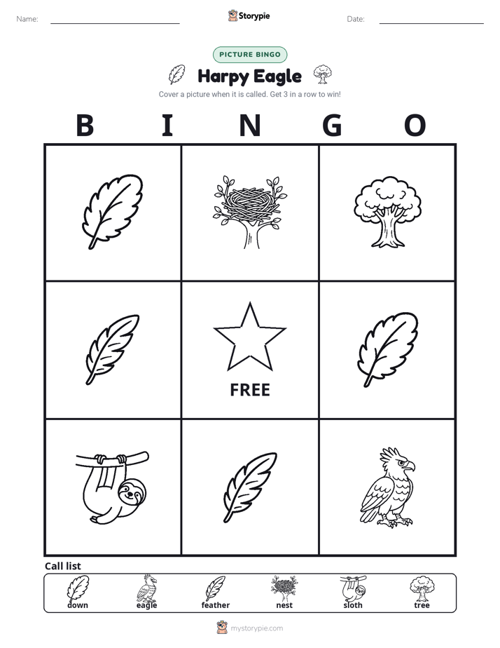 Picture Bingo
