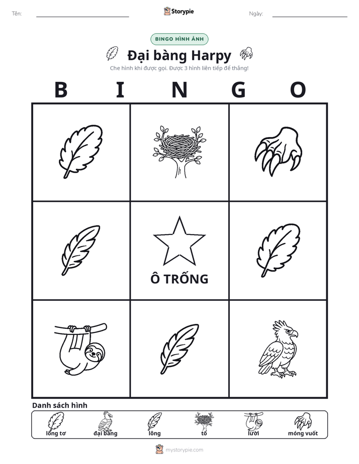 Bingo Hình Ảnh