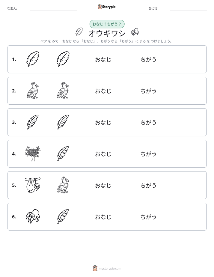 同じか違うか
