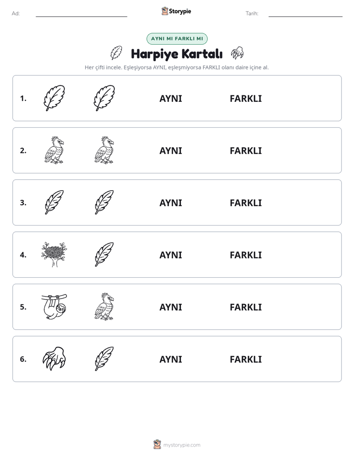 Aynı mı Farklı mı