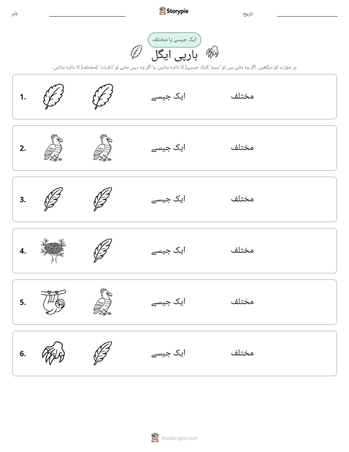 ایک جیسا یا مختلف