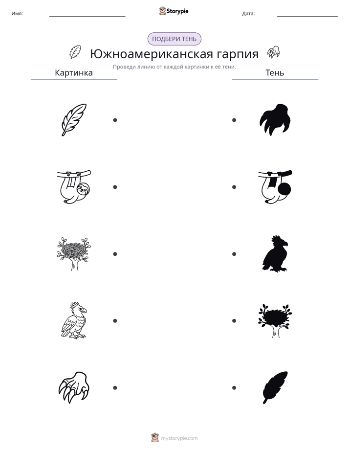 Сопоставление теней
