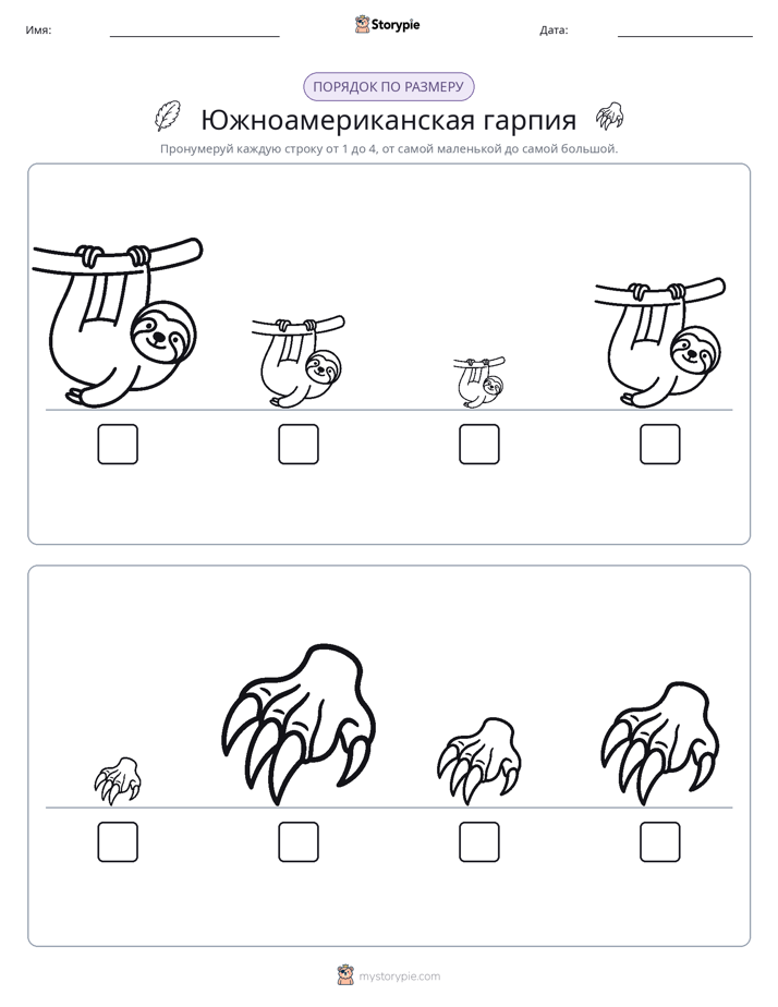 Размеры в порядке