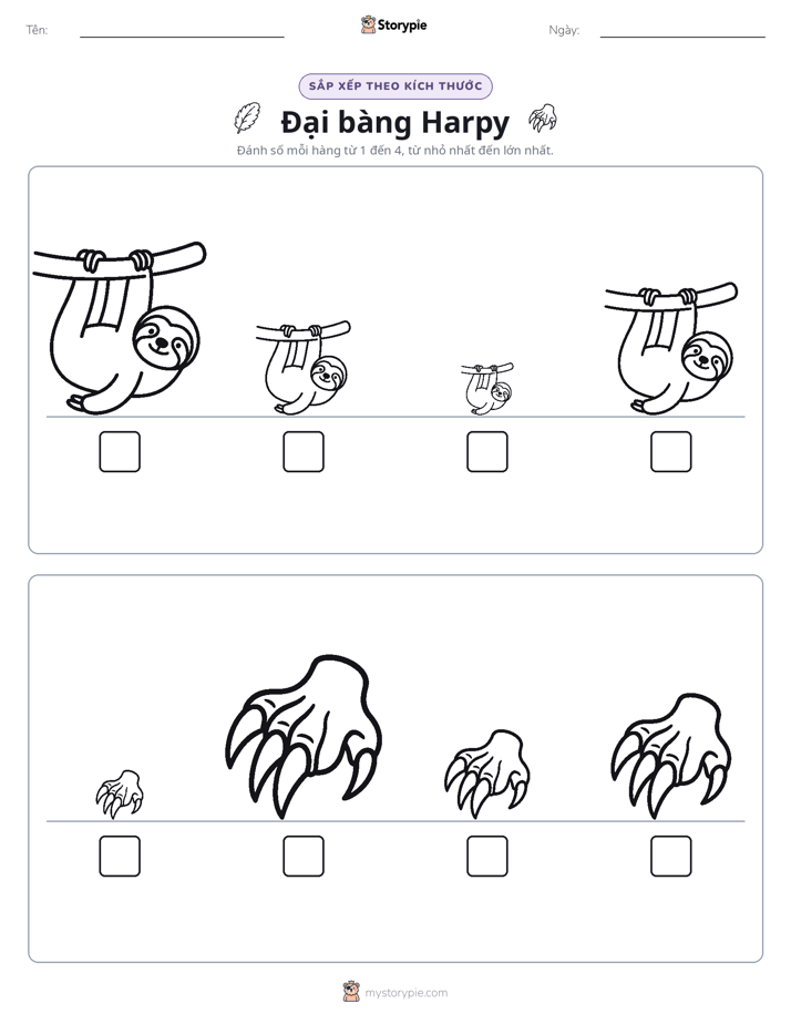 Thứ Tự Kích Thước