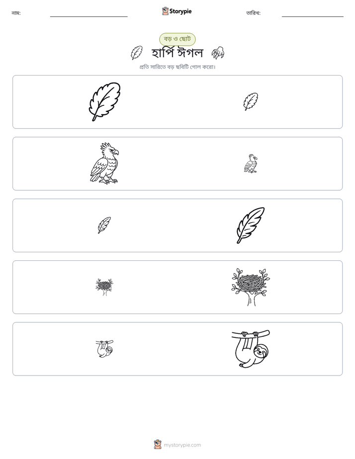 সাজানো