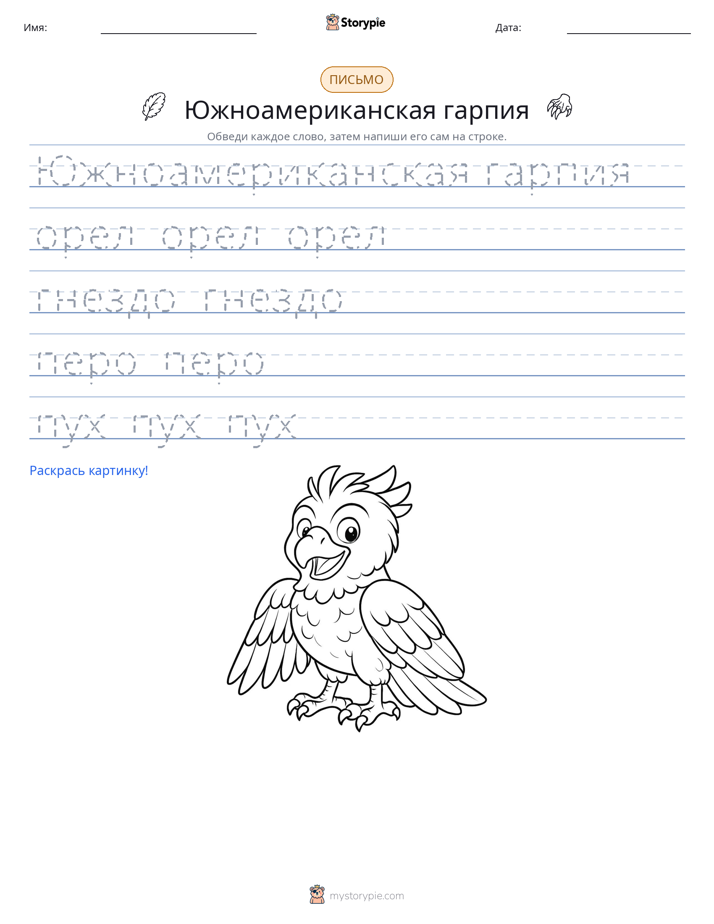 Практика письма