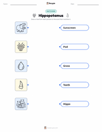 Hippopotamus printable worksheet for kids