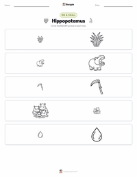 Hippopotamus printable worksheet preview