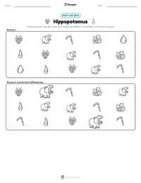 Hippopotamus printable worksheet preview