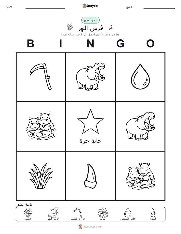 بينغو الصور