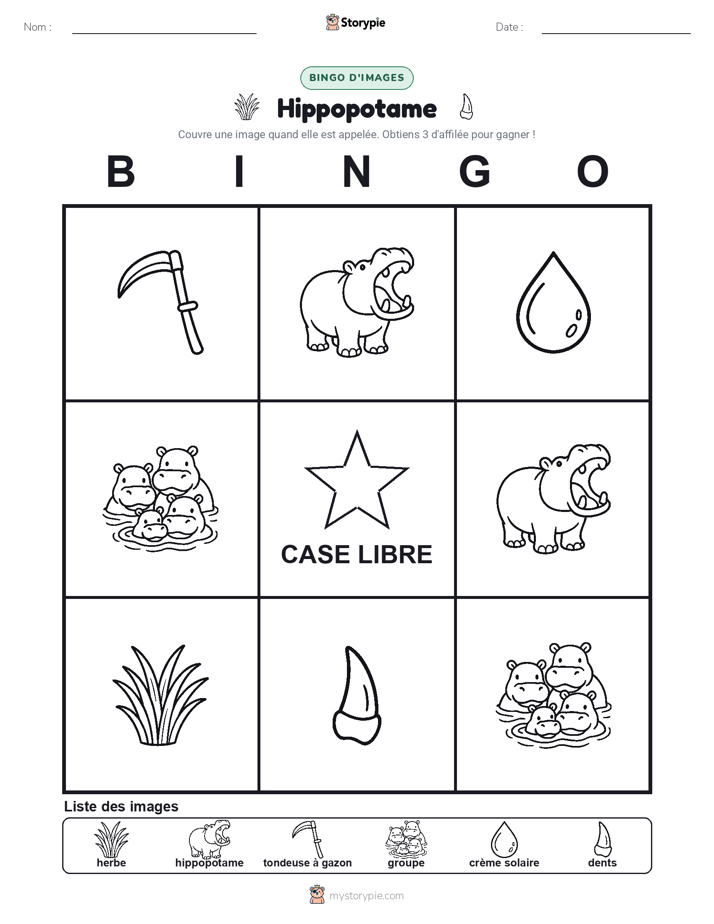 Bingo d'Images