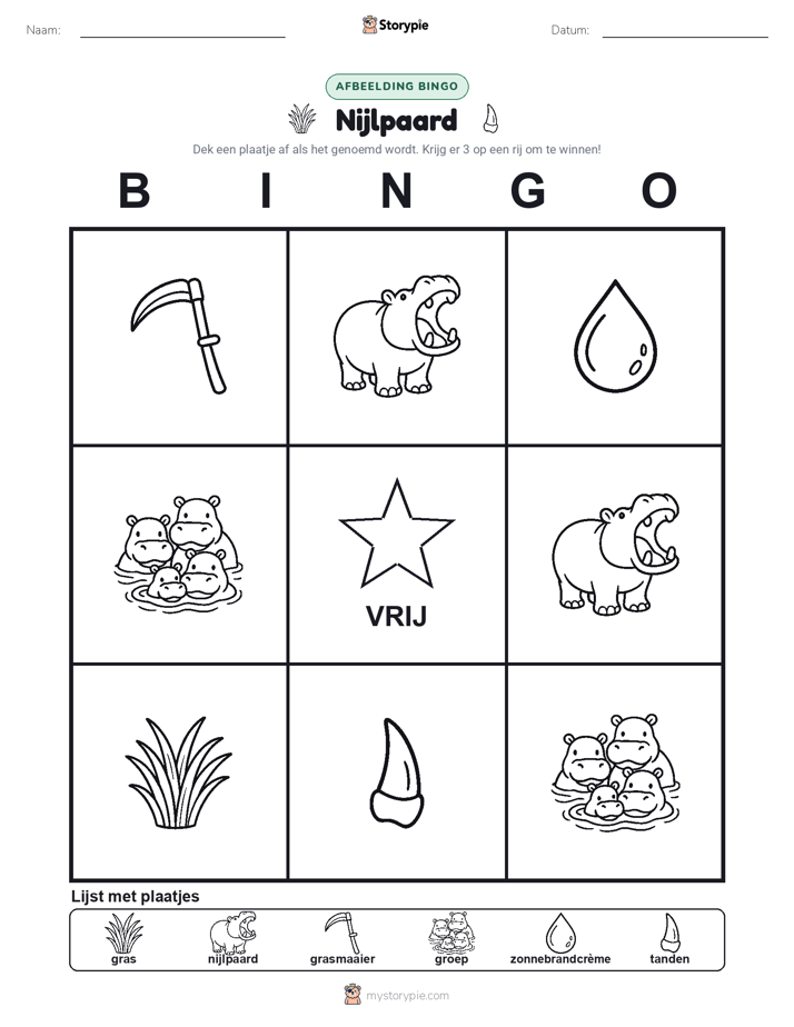 Afbeelding Bingo