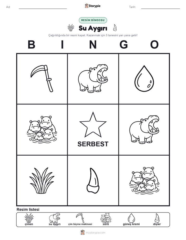 Resim Bingo