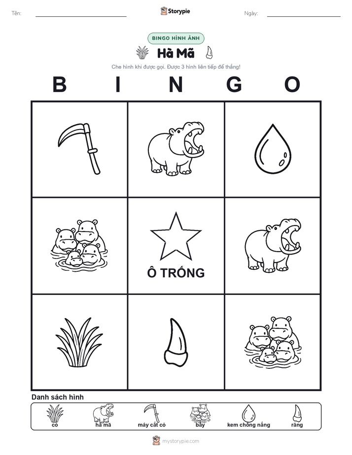 Bingo Hình Ảnh