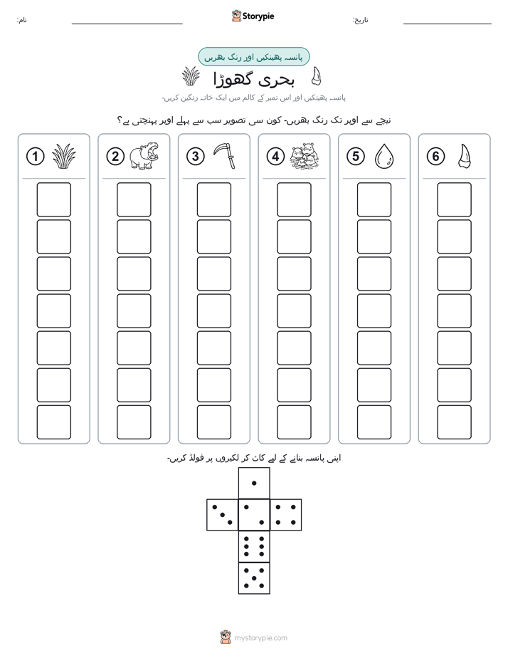 رول اور رنگ