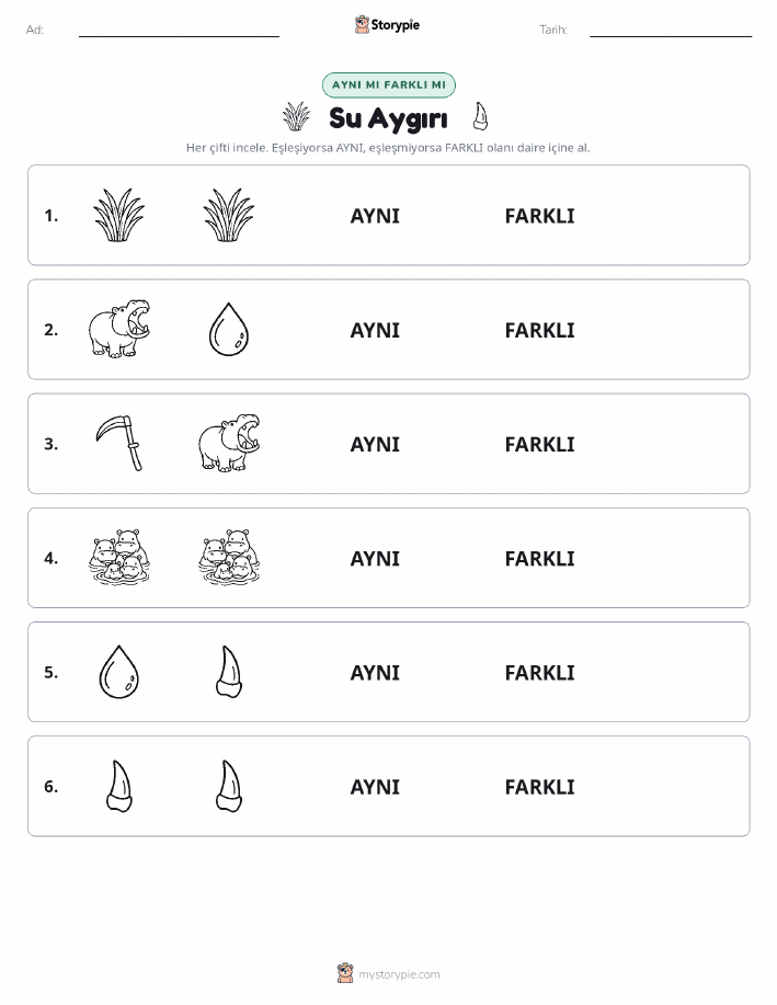 Aynı mı Farklı mı