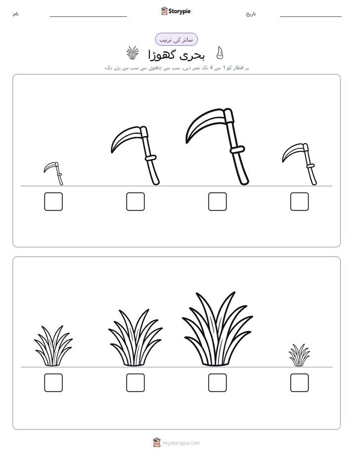سائز کی ترتیب
