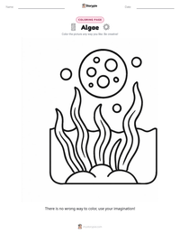 Algae printable worksheet preview