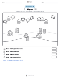Algae printable worksheet preview