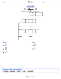 Algae printable worksheet preview