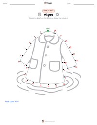 Algae printable worksheet preview